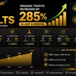 Website SEO Optimization